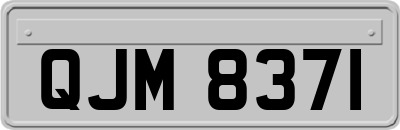 QJM8371