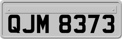 QJM8373