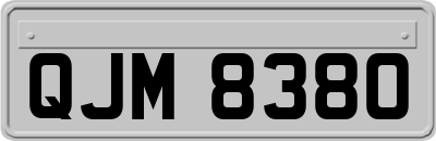 QJM8380