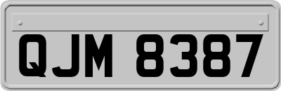 QJM8387