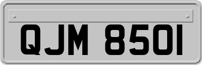 QJM8501