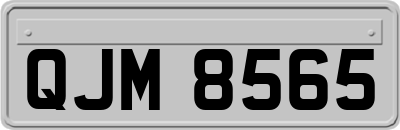 QJM8565