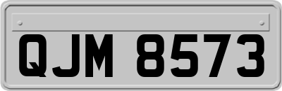 QJM8573