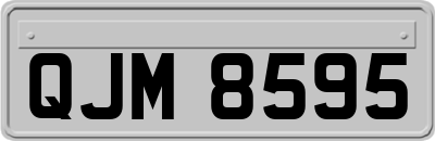 QJM8595