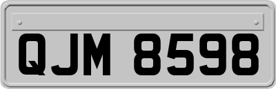 QJM8598