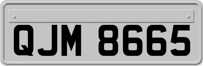 QJM8665