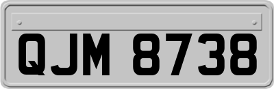 QJM8738