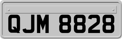 QJM8828