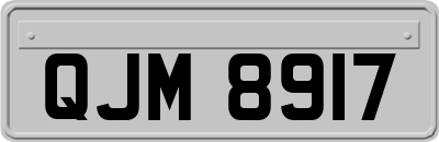 QJM8917