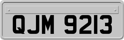 QJM9213