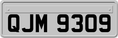 QJM9309
