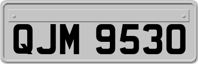QJM9530