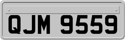 QJM9559