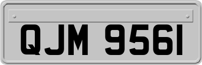 QJM9561