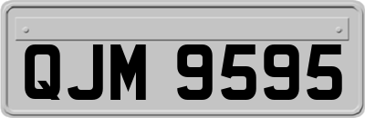 QJM9595