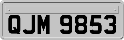 QJM9853