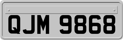 QJM9868