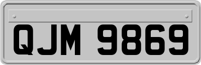 QJM9869