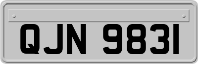 QJN9831