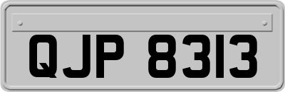 QJP8313