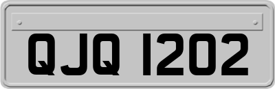 QJQ1202