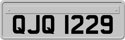QJQ1229