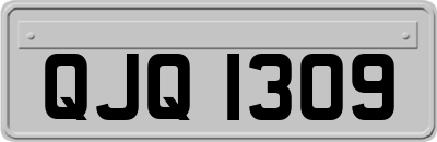 QJQ1309
