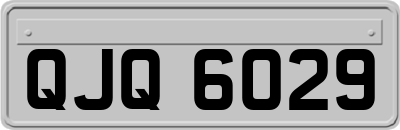 QJQ6029