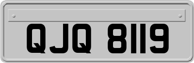 QJQ8119
