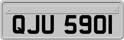 QJU5901