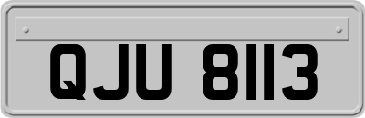 QJU8113