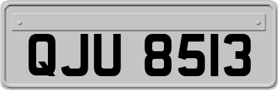QJU8513
