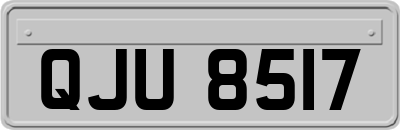 QJU8517