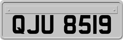 QJU8519