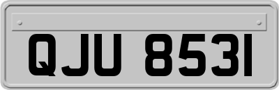 QJU8531