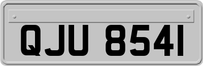 QJU8541