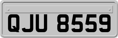 QJU8559