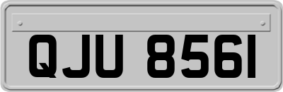 QJU8561