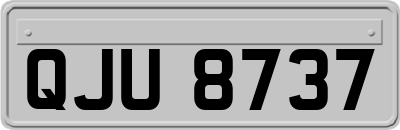 QJU8737