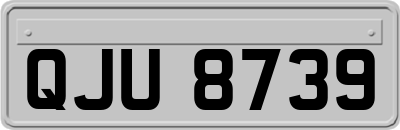 QJU8739