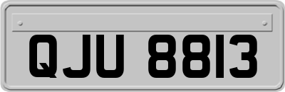 QJU8813