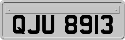 QJU8913