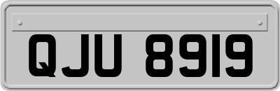 QJU8919