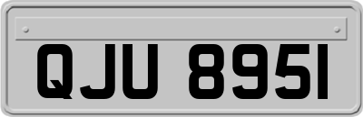QJU8951