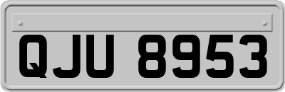 QJU8953