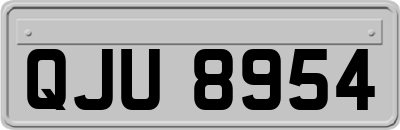 QJU8954