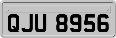 QJU8956