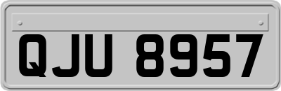 QJU8957