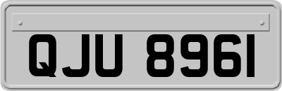 QJU8961
