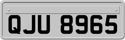 QJU8965